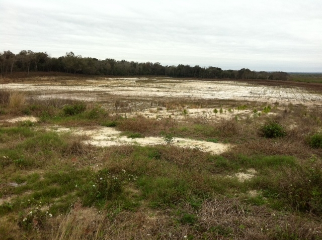 90 Hermit Smith Rd, Apopka, FL for sale - Building Photo - Image 1 of 1