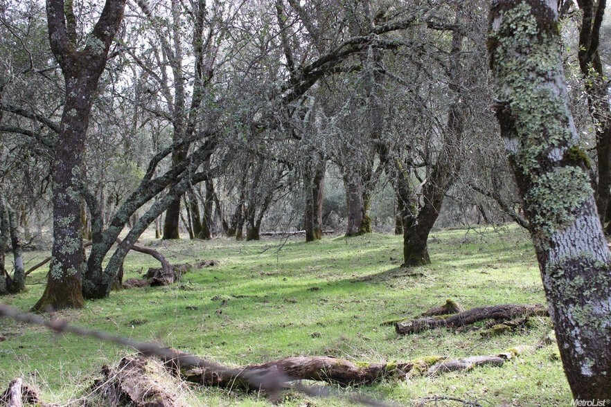 40 Tyler Rd, Fiddletown, CA for sale - Building Photo - Image 1 of 1