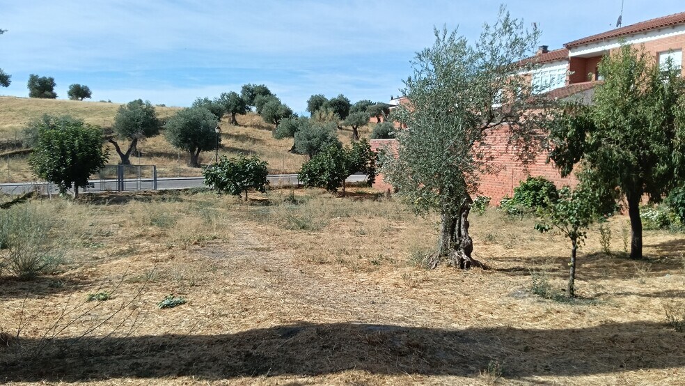 Camino de la Mina, 1, Calera y Chozas, Toledo for sale - Primary Photo - Image 1 of 5