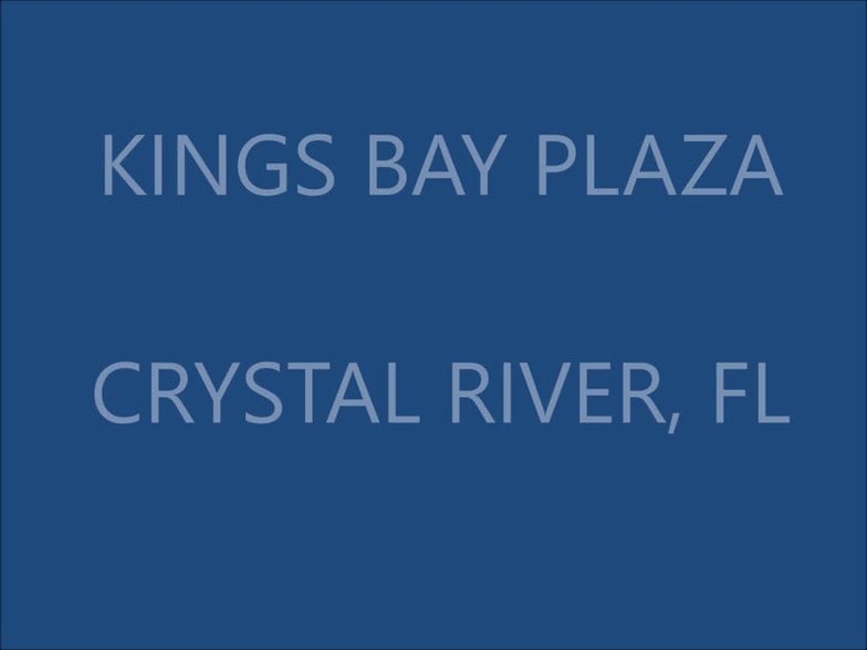 204-324 SE Highway 19, Crystal River, FL for lease - Commercial Listing Video - Image 3 of 7