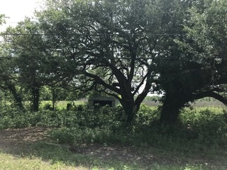 More details for 6731 N Masters Rd, Manvel, TX - Land for Sale