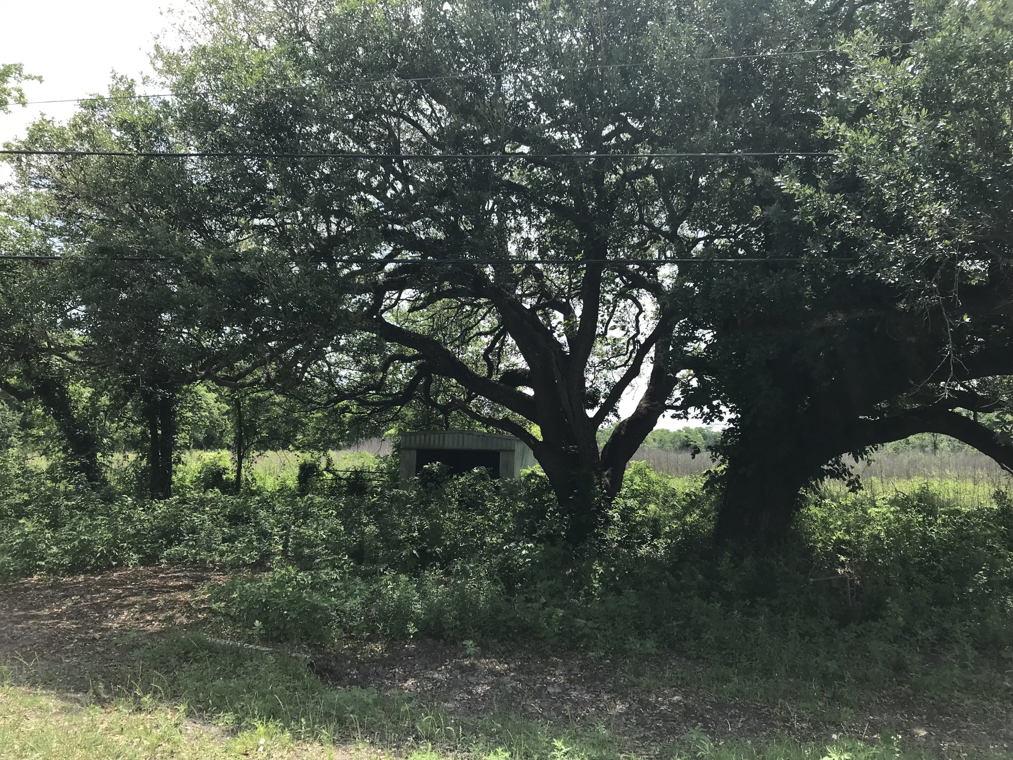 6731 N Masters Rd, Manvel, TX for sale Other- Image 1 of 9