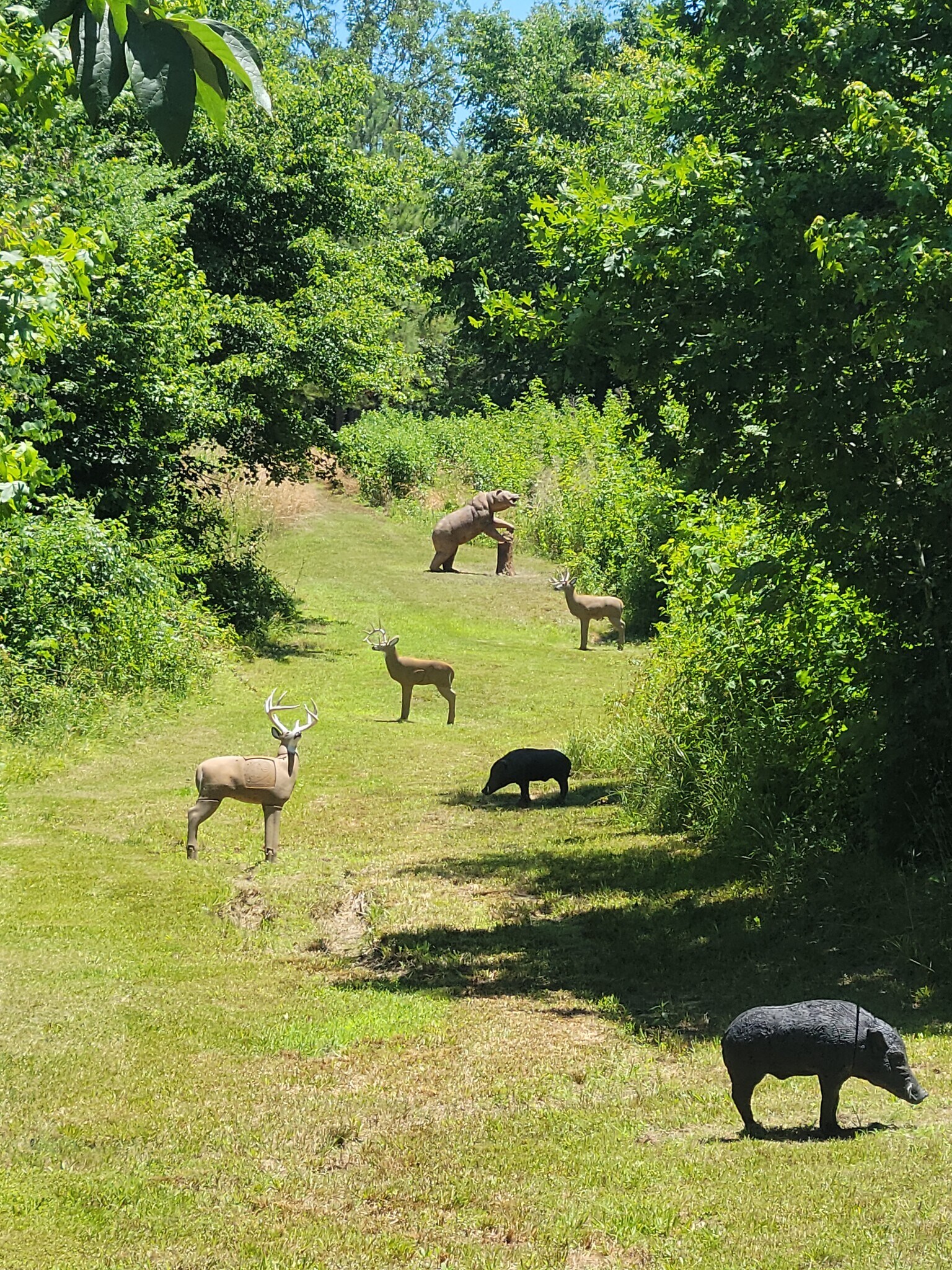433 New Castle Farm Rd, Mebane, NC for sale Primary Photo- Image 1 of 1