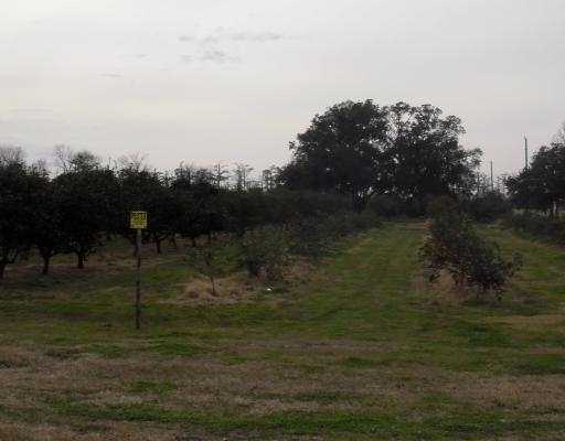 13866 Hwy 23, Belle Chasse, LA for sale Primary Photo- Image 1 of 1