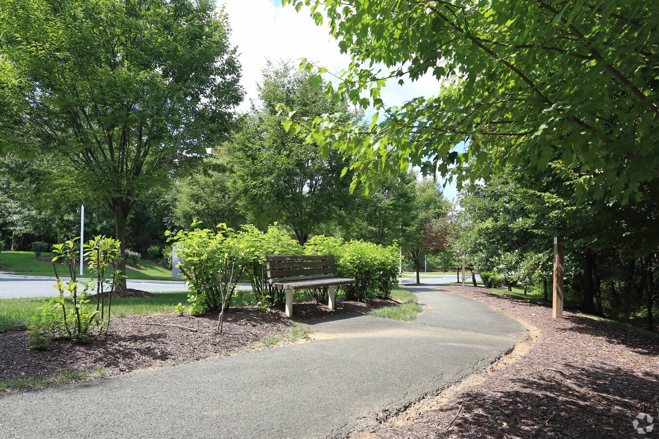 View Photo