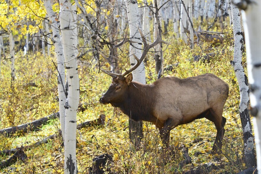 Gooseberry Road, Salina, UT for sale - Primary Photo - Image 1 of 1