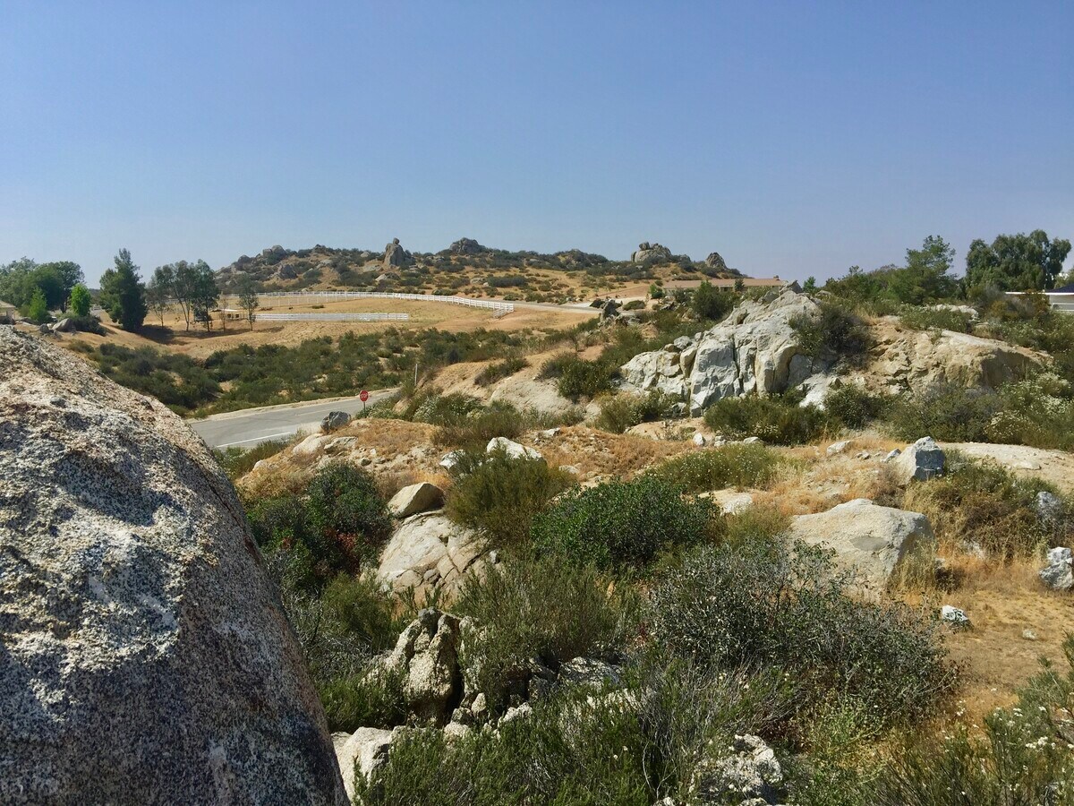 View Photo