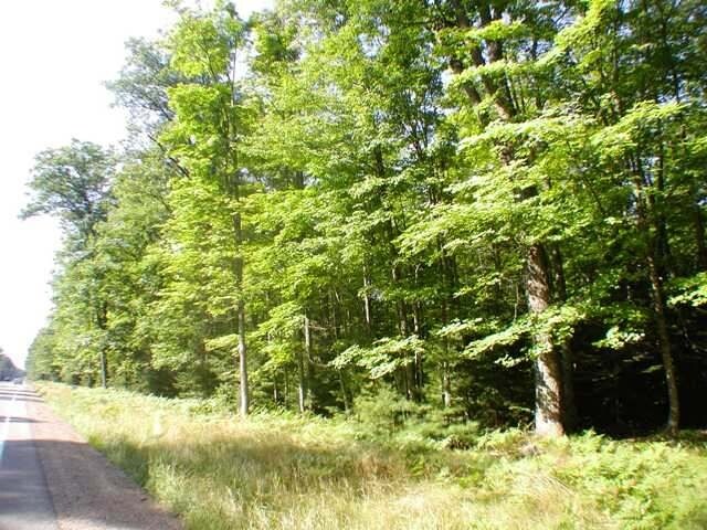 Highway 155, Saint Germain, WI for sale Primary Photo- Image 1 of 1