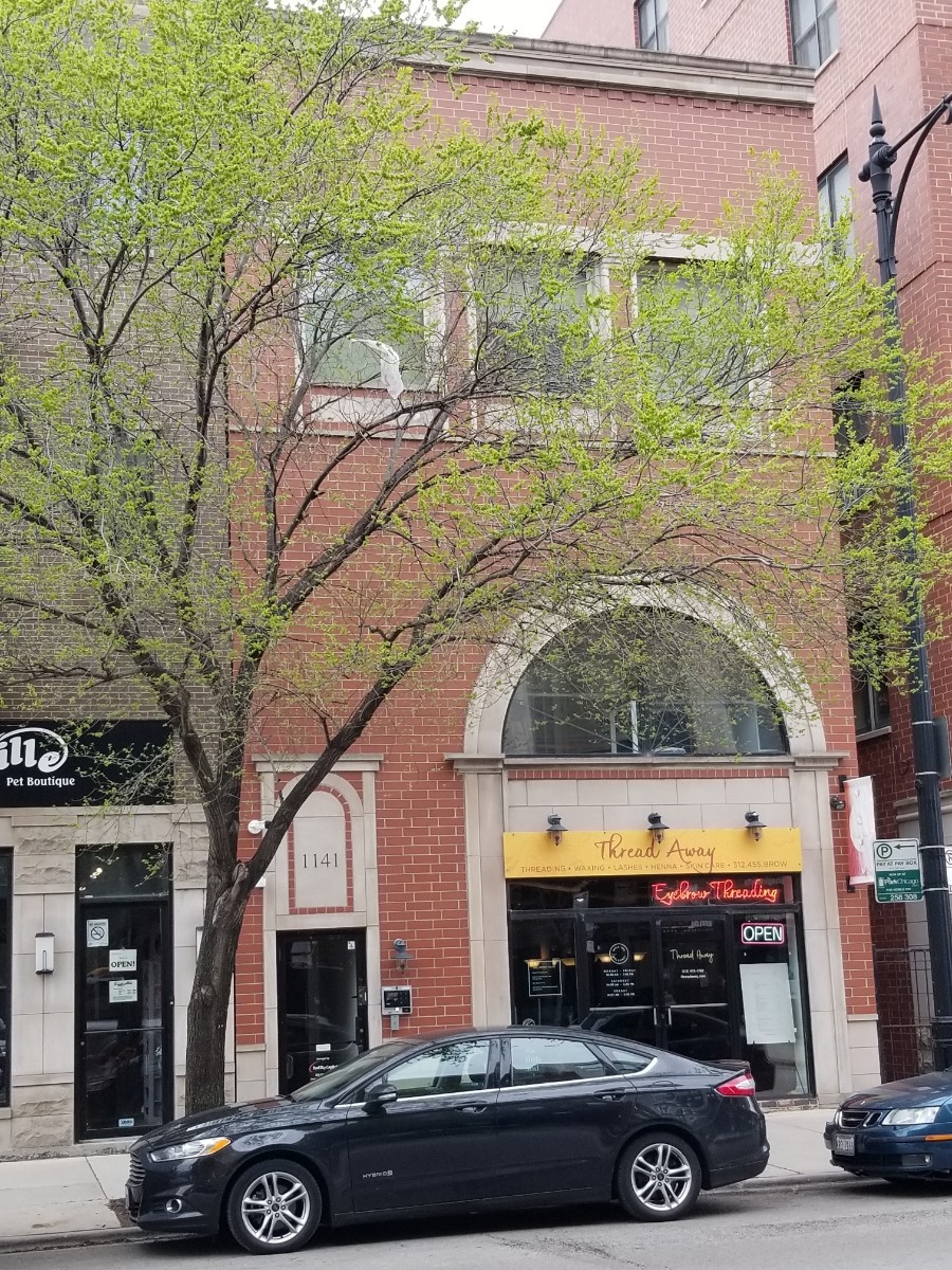 1141 W Madison St, Chicago, IL for lease Primary Photo- Image 1 of 2