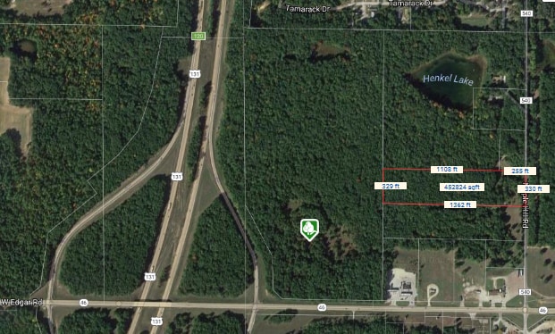 0000 W M46 Rd, Edmore, MI for sale - Aerial - Image 3 of 3