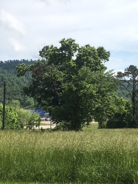 Balltown Rd, Williamsburg, KY for sale - Primary Photo - Image 1 of 1