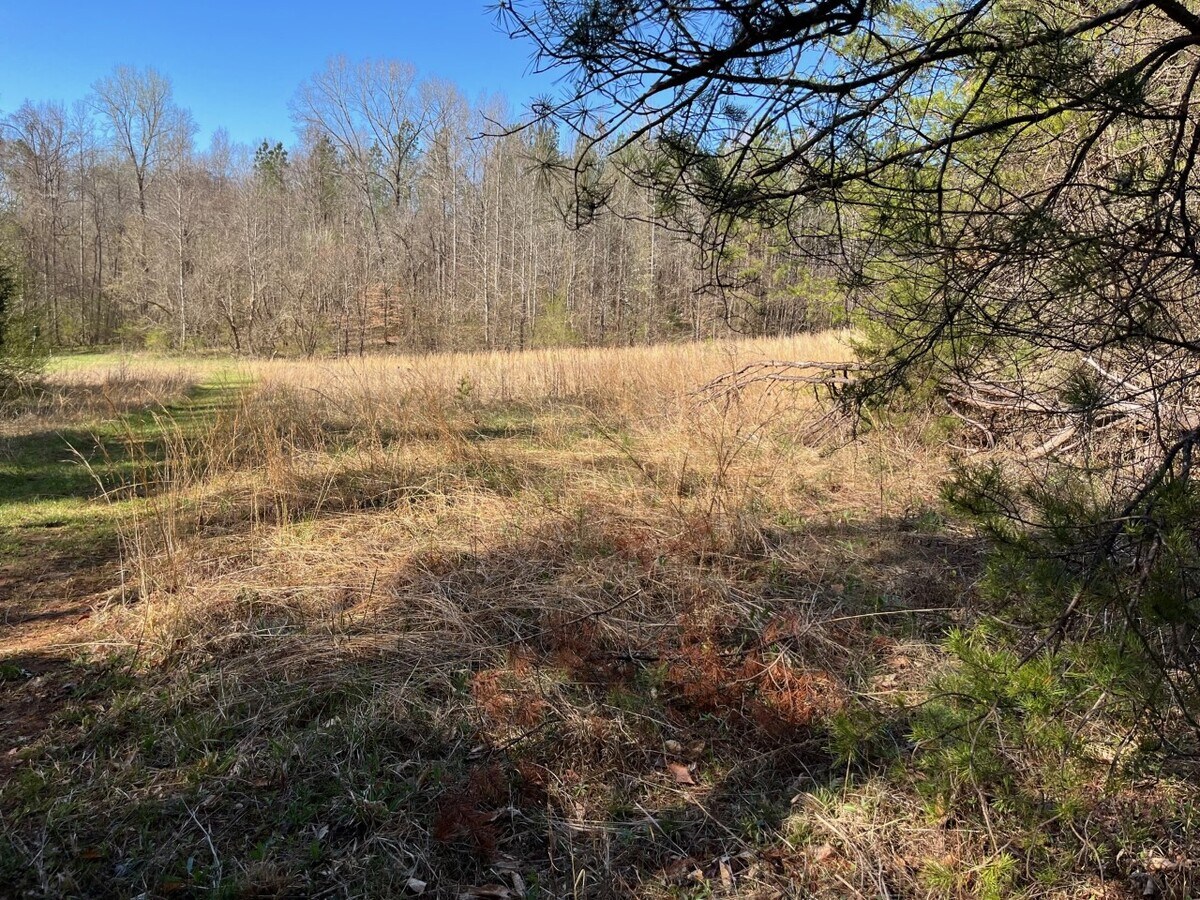 999 Coxe, Tryon, NC 28782