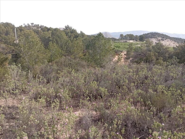 Land in Relleu for sale - Building Photo - Image 3 of 16