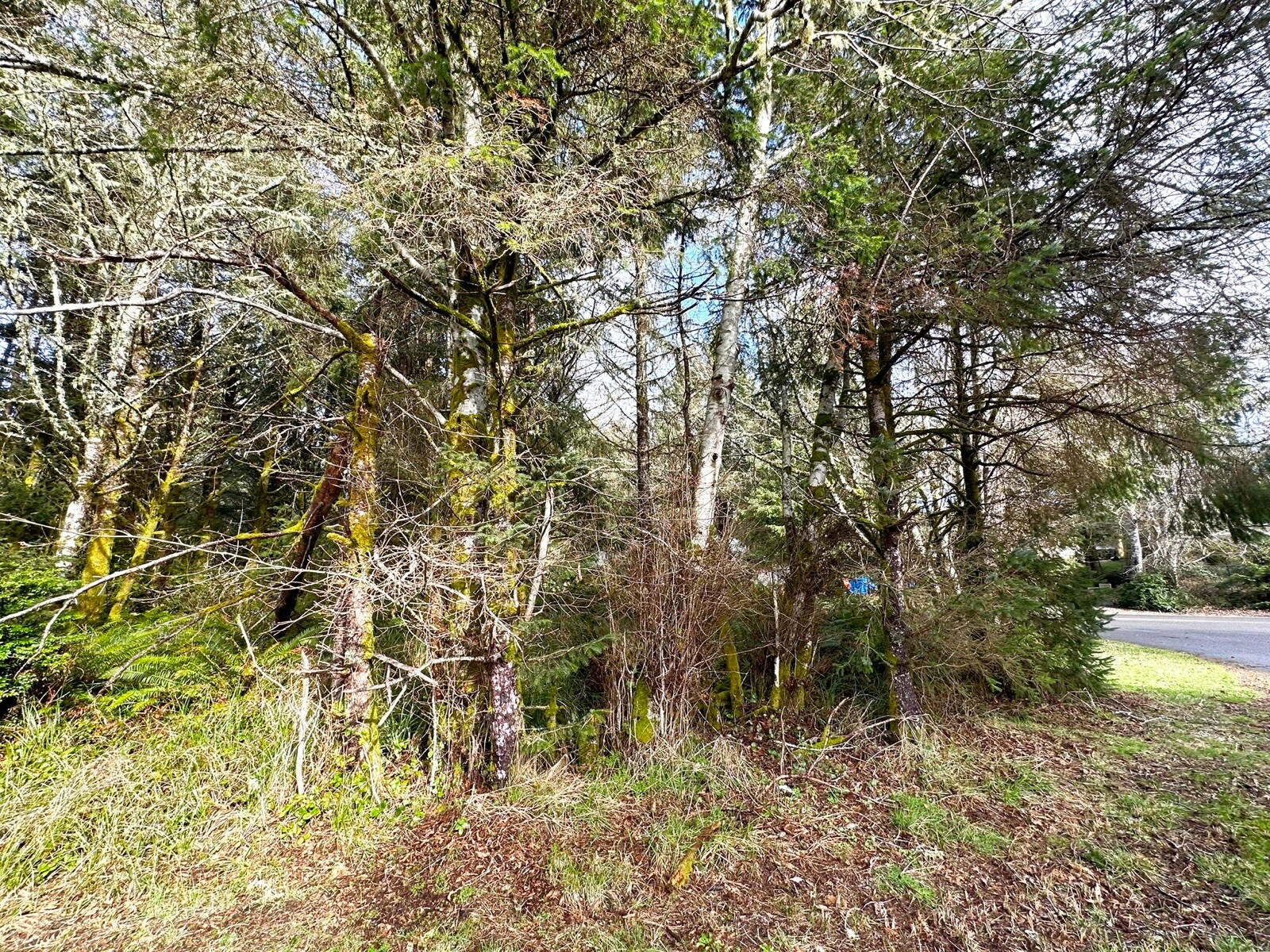 765 Duck Lake, Ocean Shores, WA 98569