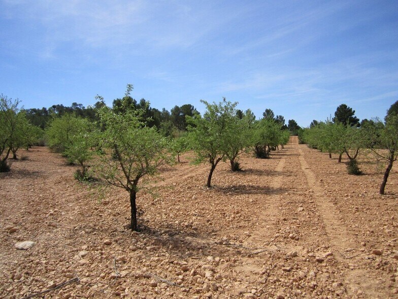 Land in MURCIA for sale - Building Photo - Image 2 of 6