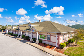 More details for 224 Mariner Blvd, Spring Hill, FL - Office for Sale