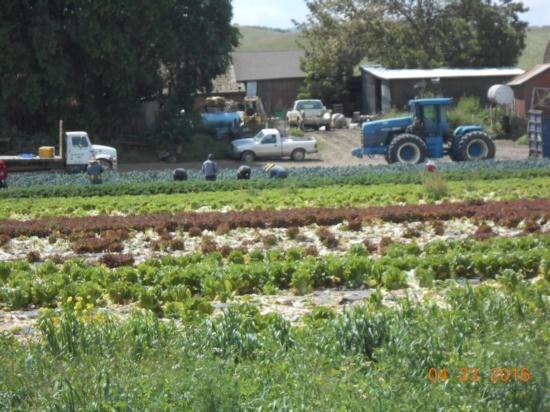1010 Union Rd, Hollister, CA for sale Primary Photo- Image 1 of 1
