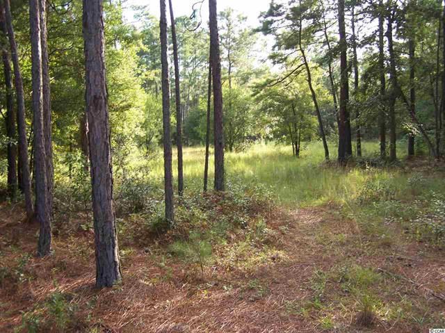 S Island Rd, Georgetown, SC for sale Primary Photo- Image 1 of 1