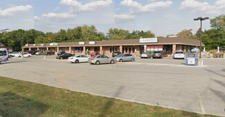 More details for 1300 N Cedar Rd, New Lenox, IL - Retail for Lease