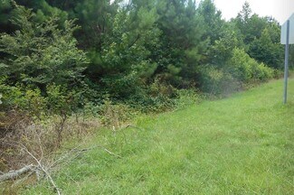 More details for 8034 US 11, Springville, AL - Land for Sale