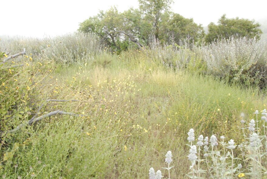 2121 CORSHAM Rd, Topanga, CA for sale - Building Photo - Image 2 of 15