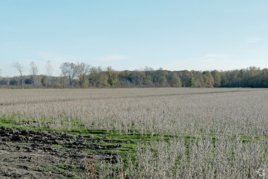 Big Hand Rd, Columbus, MI for sale - Primary Photo - Image 1 of 1