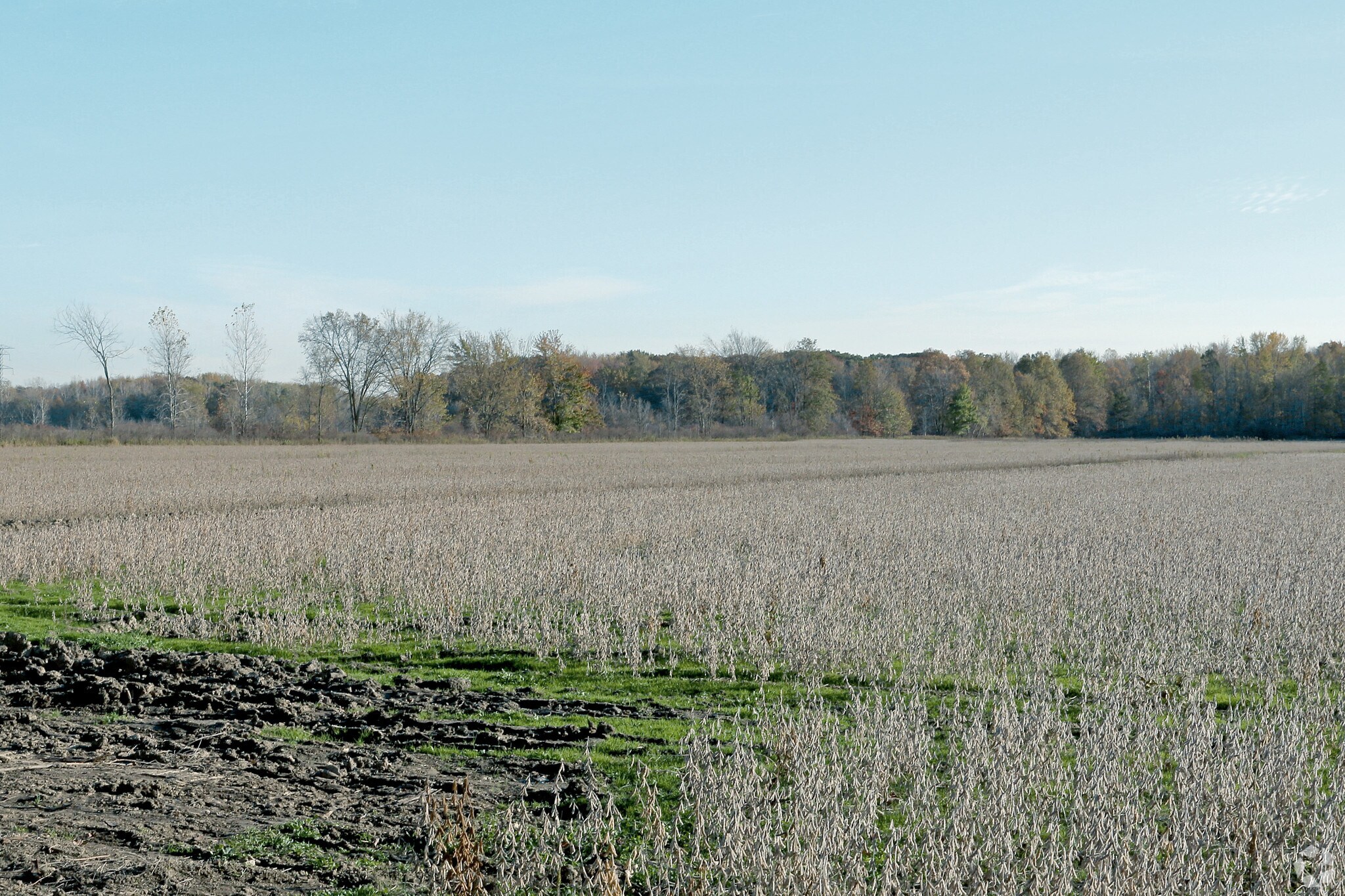 Big Hand Rd, Columbus, MI for sale Primary Photo- Image 1 of 1