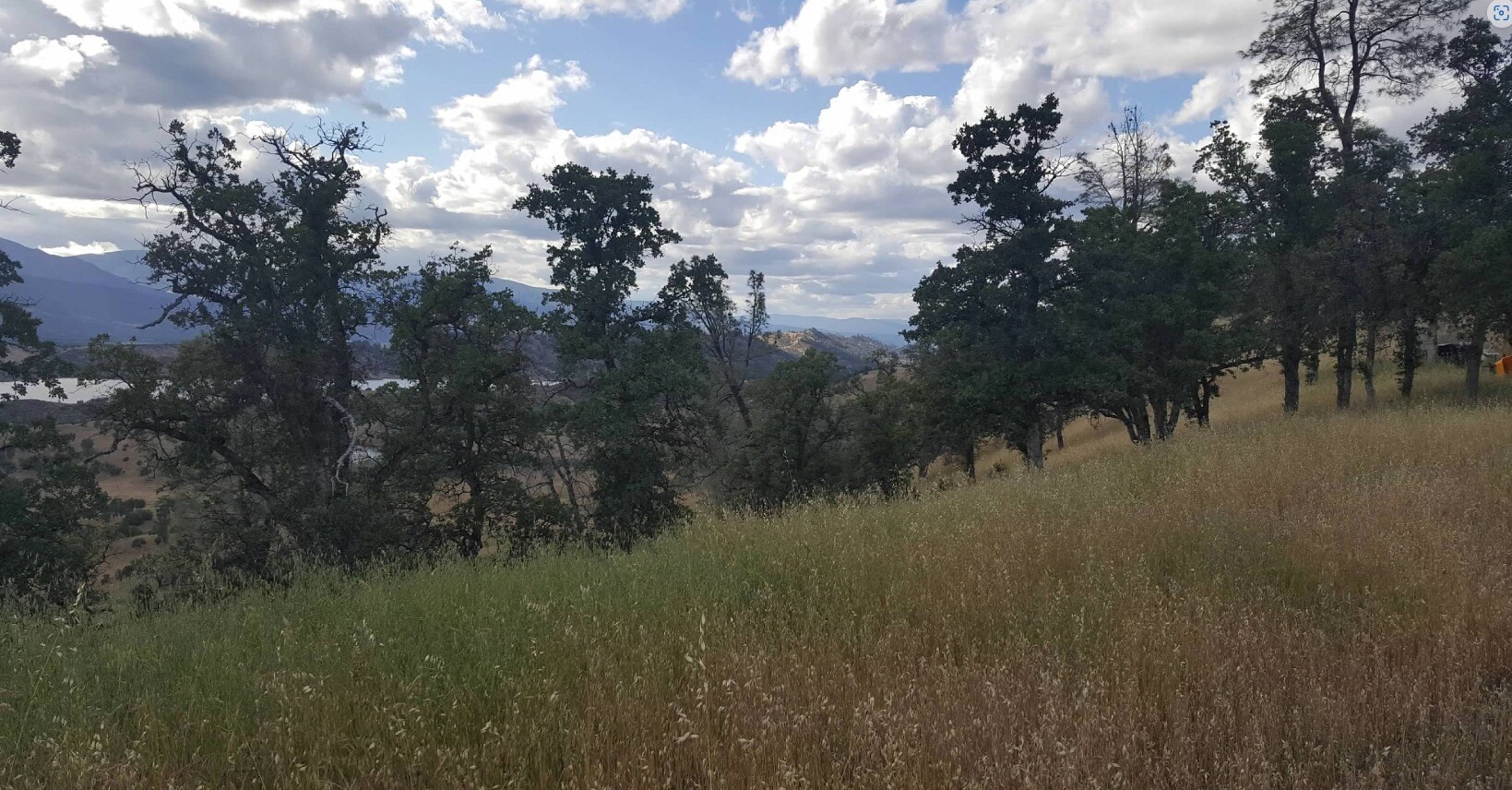 Campground Rd, Stonyford, CA 95979 Land for Sale