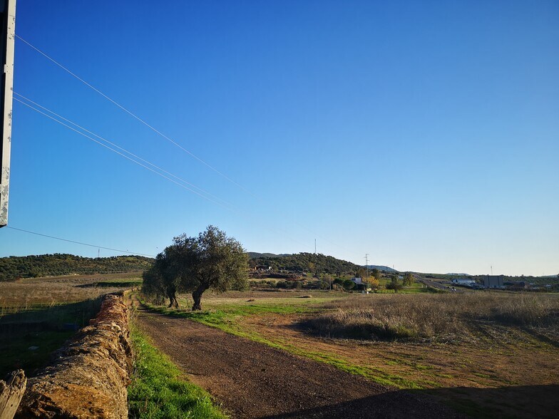 Land in Olivenza for sale - Building Photo - Image 3 of 20