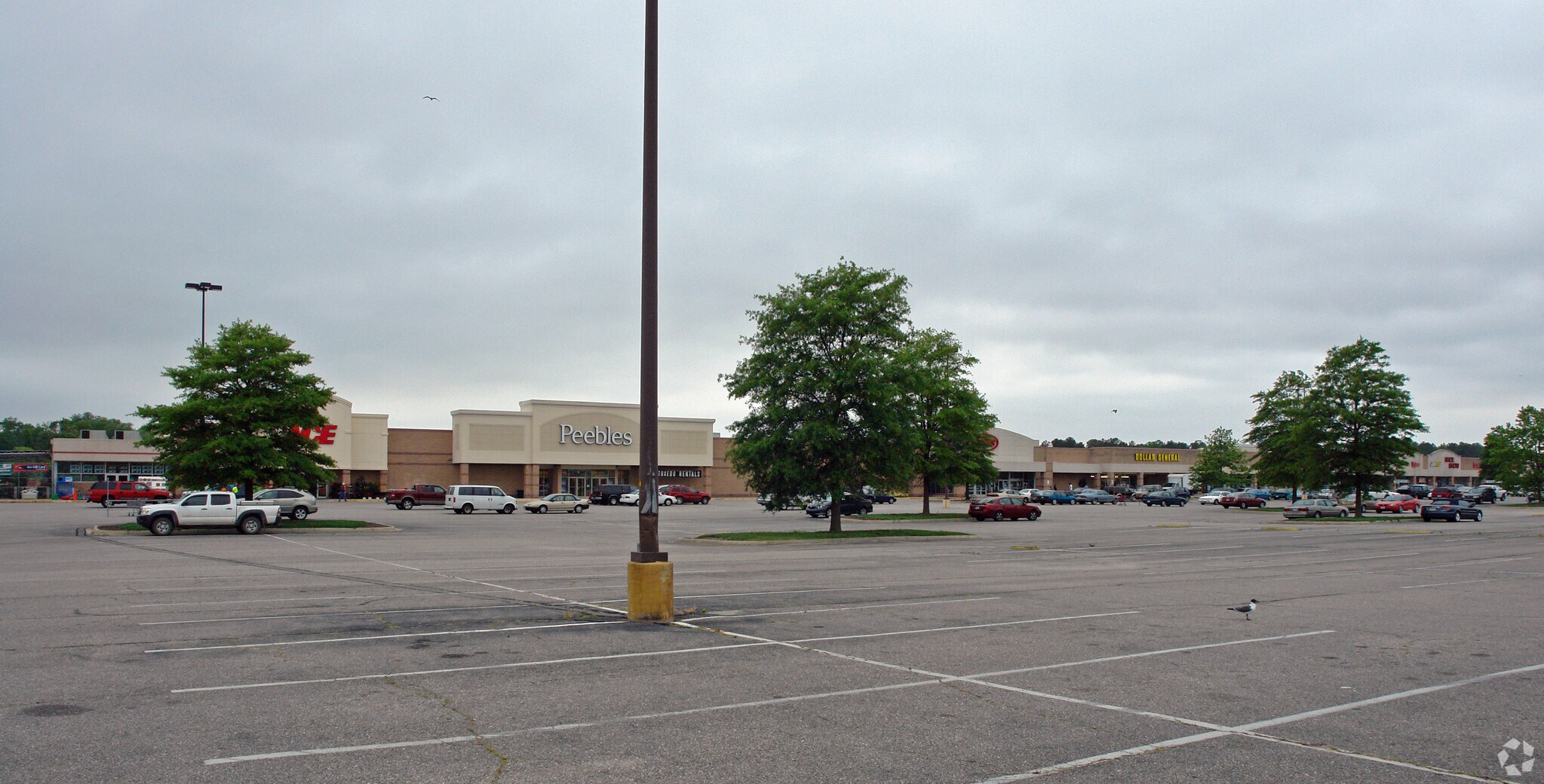 40684102 Lankford Hwy, Exmore, VA 23350 Shore Plaza