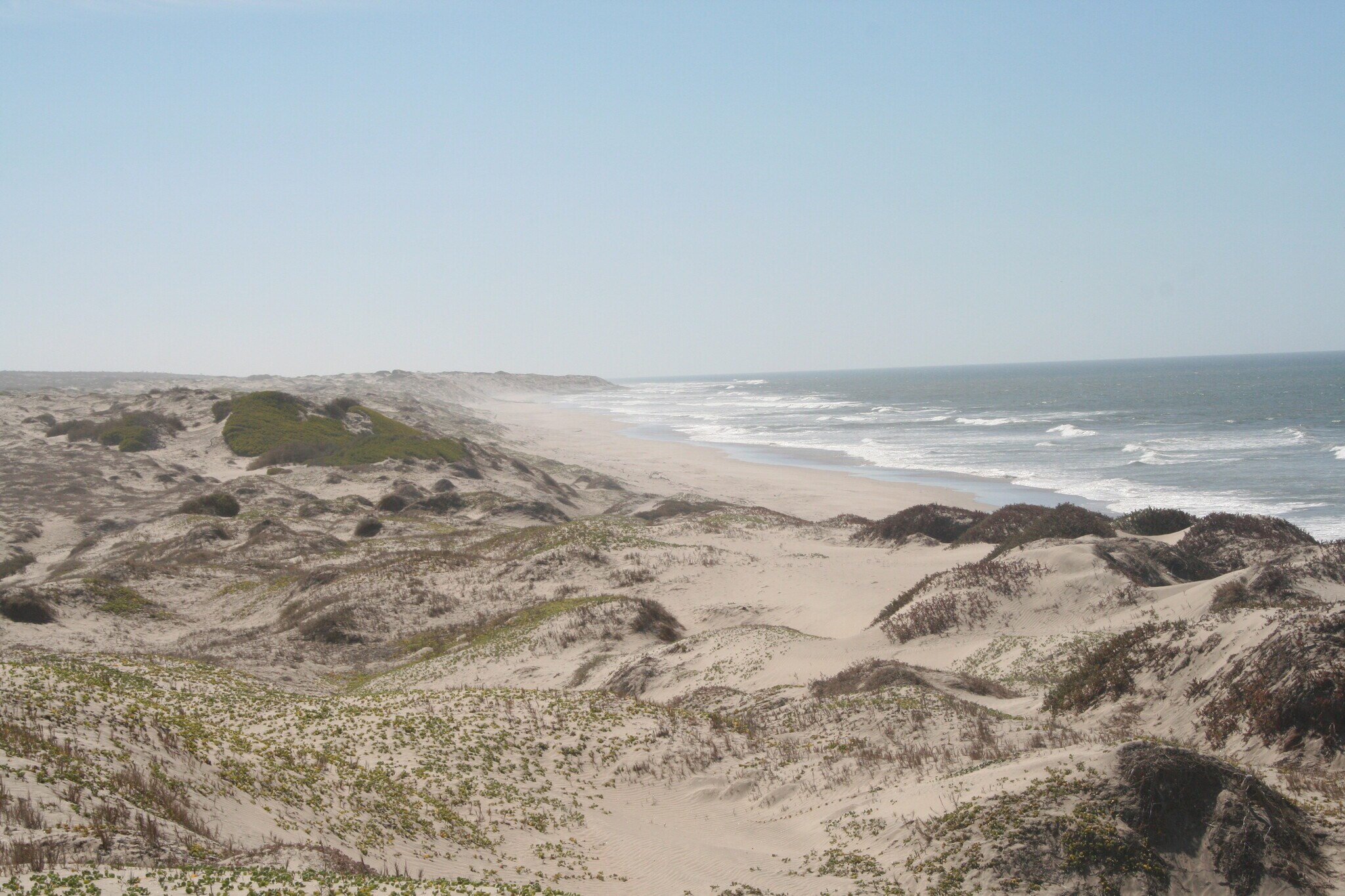  for sale Primary Photo- Image 1 of 9