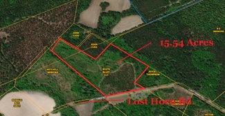 More details for 653 Lost Horn Rd, Branchville, SC - Land for Sale