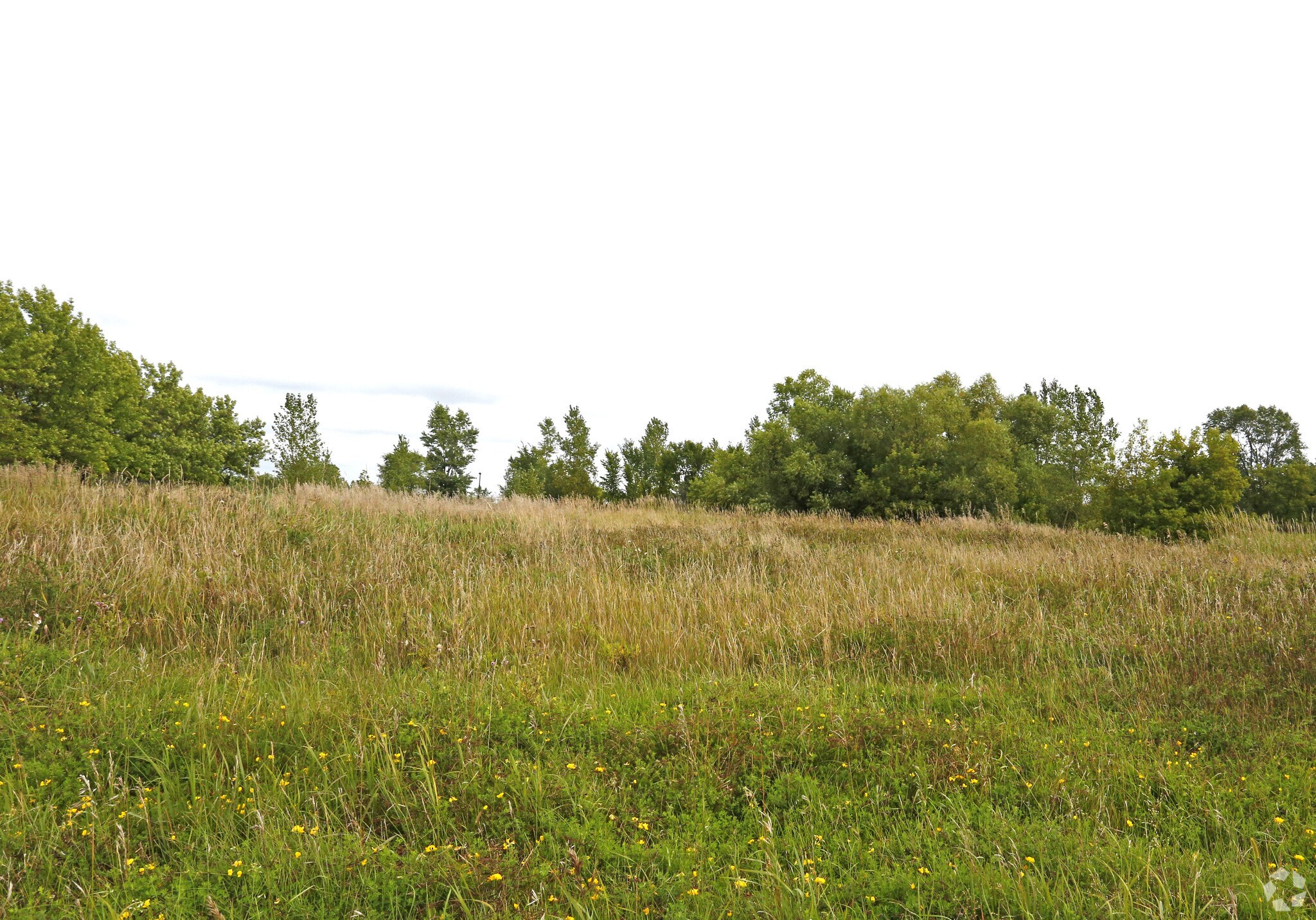 23300 Highway 55, Corcoran, MN for sale Primary Photo- Image 1 of 1