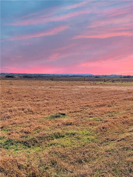 16720 FM 485, Cameron, TX for sale - Primary Photo - Image 1 of 1