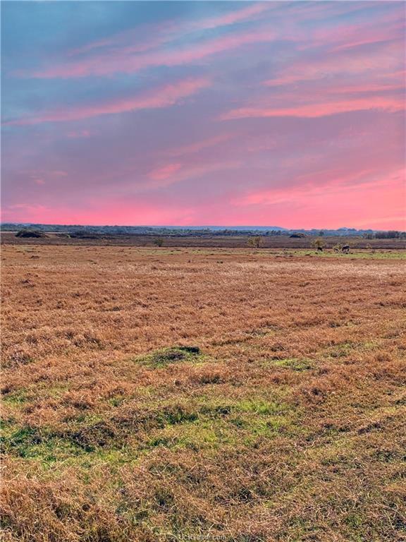 16720 FM 485, Cameron, TX for sale Primary Photo- Image 1 of 1