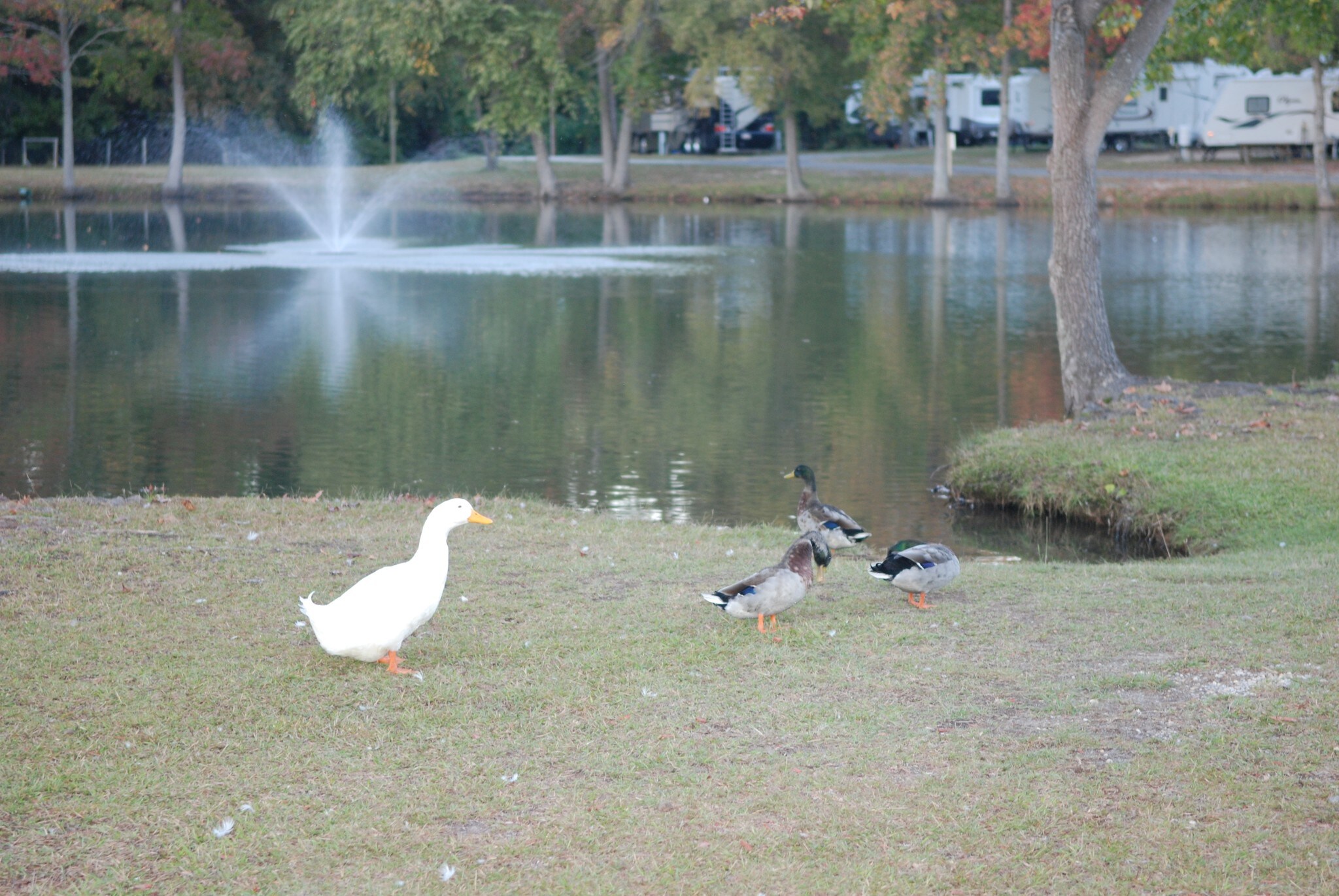 1115 E Campground Rd, Florence, SC for sale Building Photo- Image 1 of 1