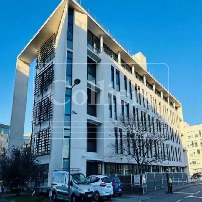 Flex in Villeurbanne for lease Building Photo- Image 1 of 20