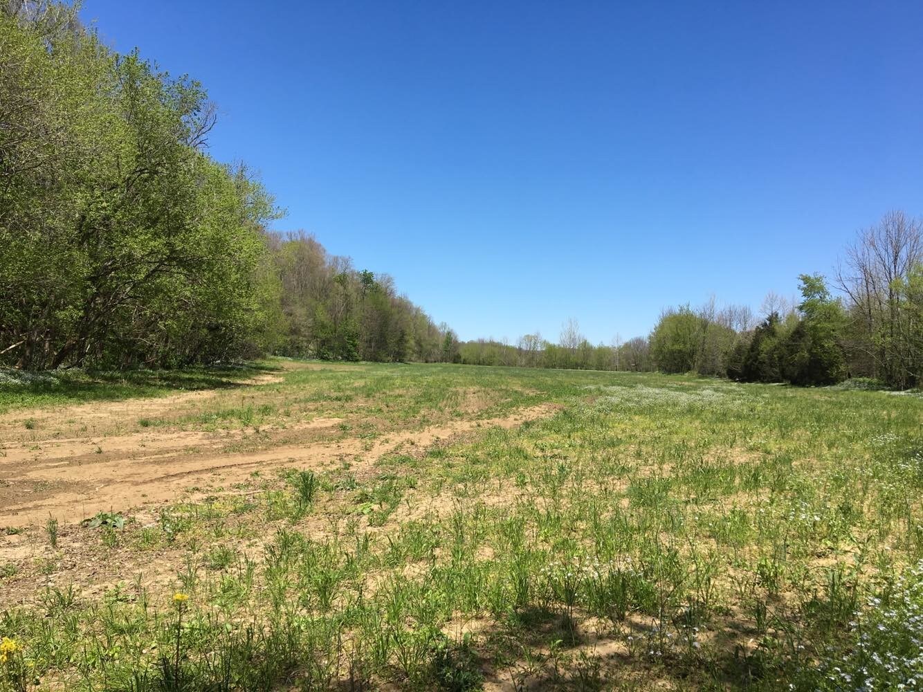 3400 Ferris Creek Rd, Dubre, KY for sale Primary Photo- Image 1 of 1