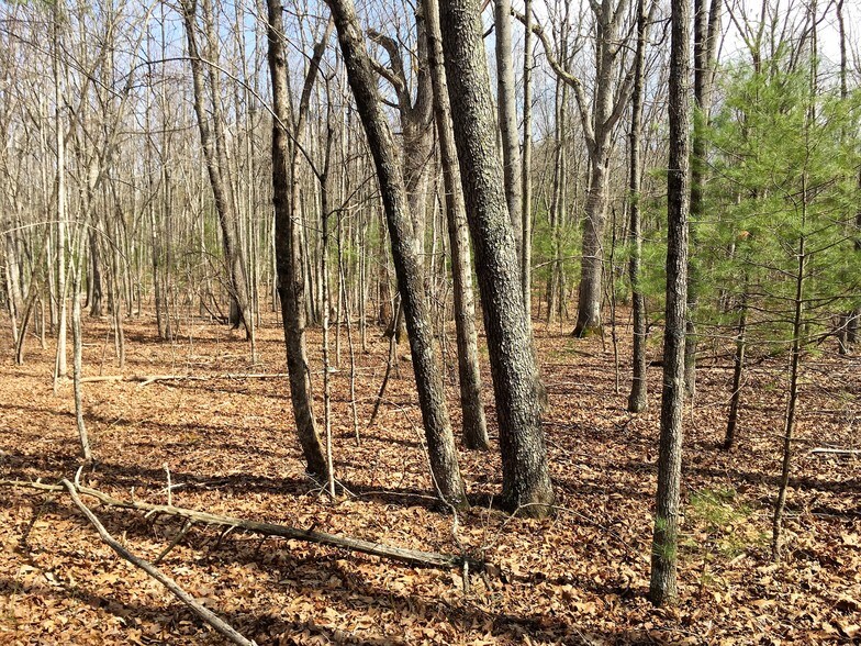 Cold Springs Rd, Raphine, VA 24472