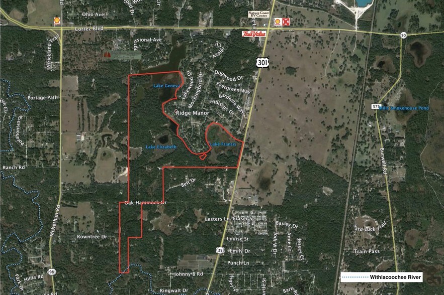 4215 Treiman Blvd, Ridge Manor, FL 33523