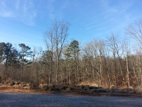 Hwy 515 & Hwy 108, Jasper, GA for sale - Primary Photo - Image 1 of 1