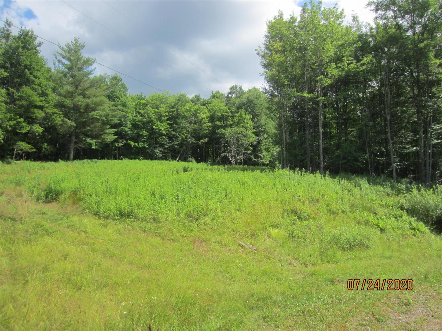 4104 E Brook Rd, Walton, NY for sale Primary Photo- Image 1 of 1