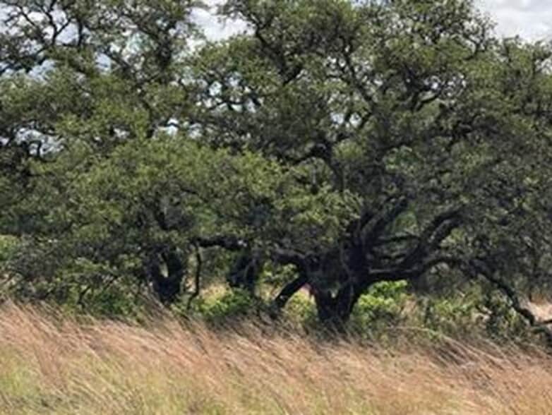 207 Verbena ct, Johnson City, TX for sale - Building Photo - Image 2 of 19