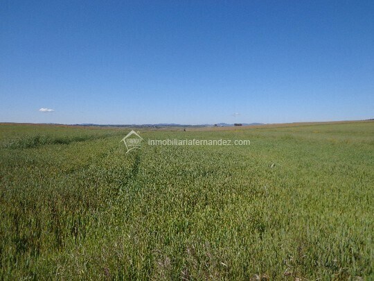 Land in Sierra de Fuentes for sale - Building Photo - Image 1 of 3