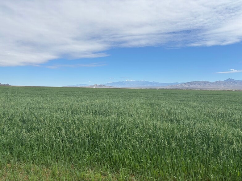 89370 Two Hawk Rd, Baker, CA for sale - Other - Image 2 of 4