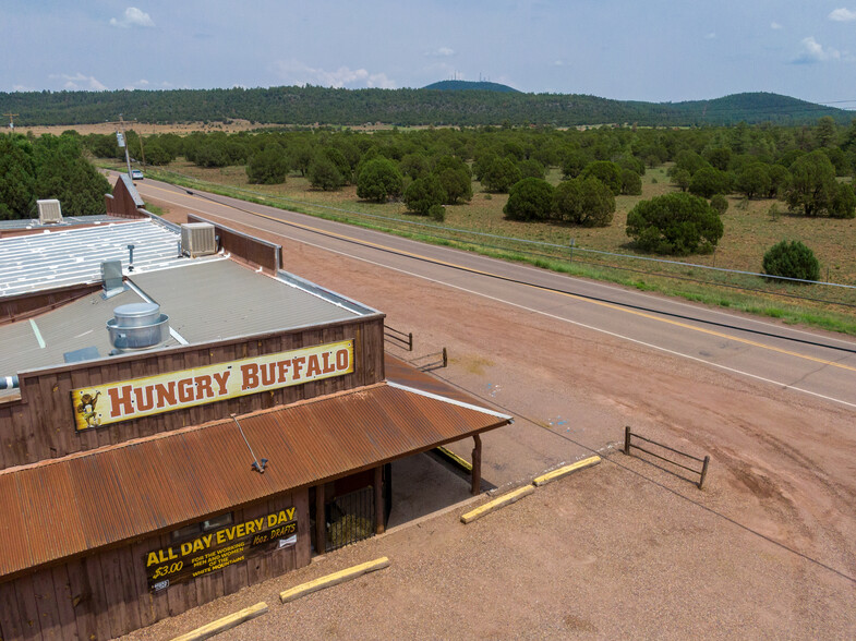 4048 Porter Mountain Rd, Lakeside, AZ for sale - Building Photo - Image 1 of 42