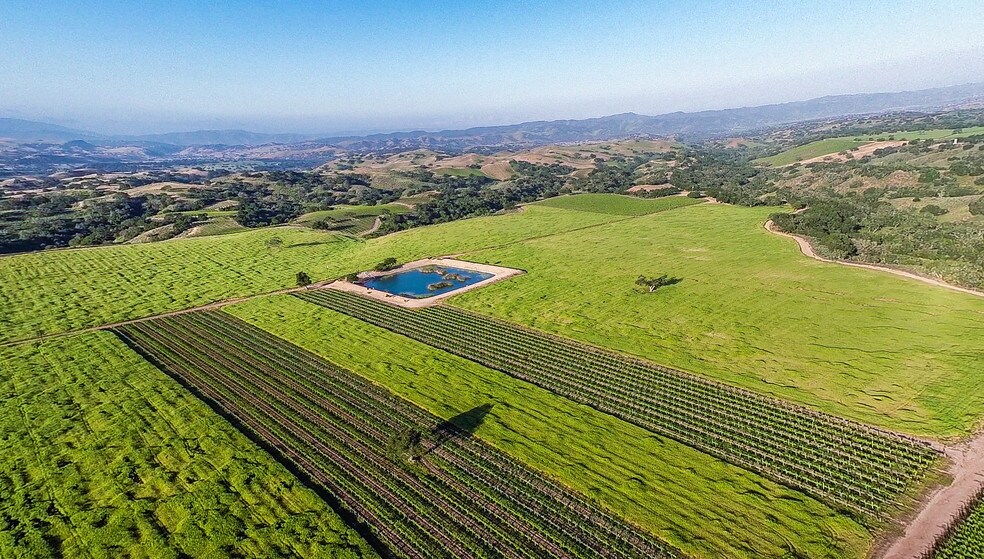 Foxen Vineyard