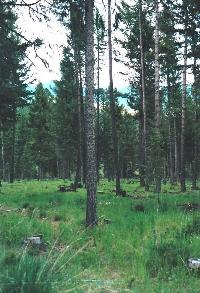 38203 Westside Nine Mile Rd, Huson, MT for sale Building Photo- Image 1 of 1