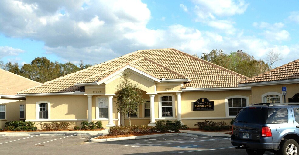 1752117523 N Dale Mabry Hwy, Lutz, FL 33548