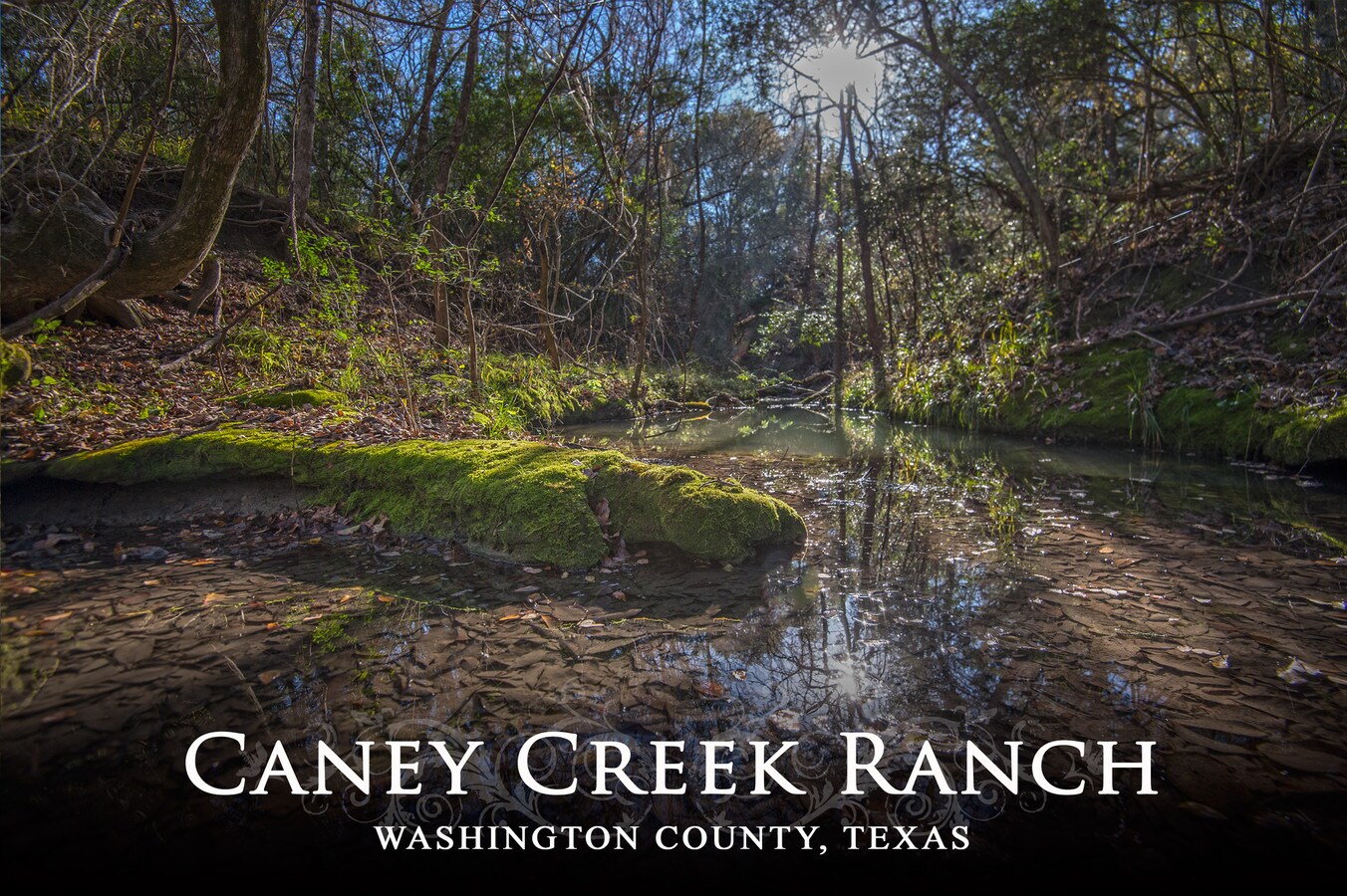 2755 Caney Creek Rd, Chappell Hill, TX 77426
